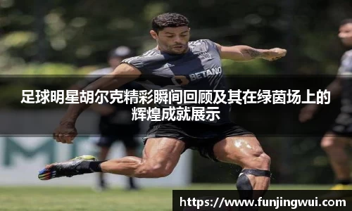 足球明星胡尔克精彩瞬间回顾及其在绿茵场上的辉煌成就展示